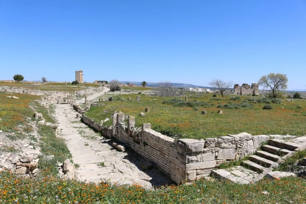 Makhtar panorama